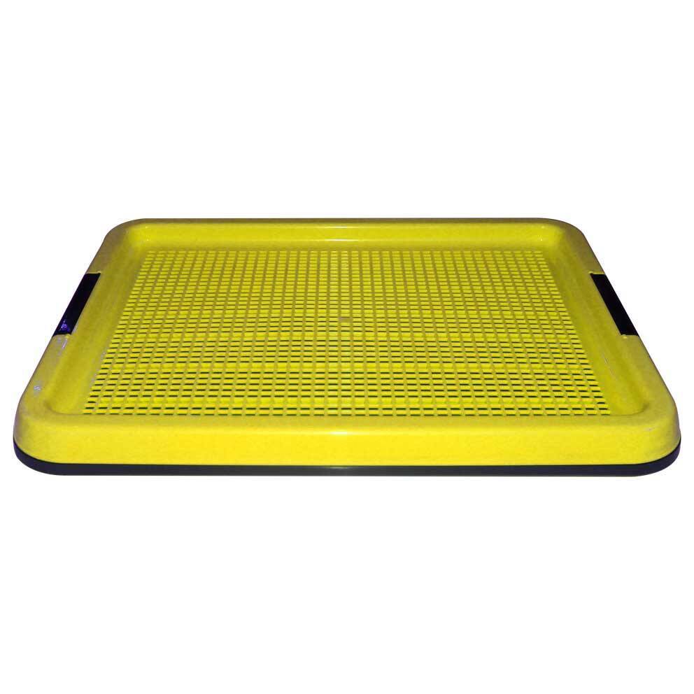 سینی آموزشی سگ